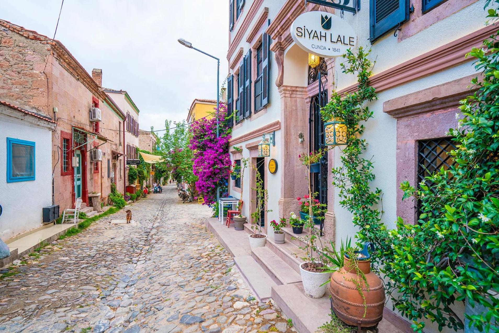 Siyah Lale Cunda 1841 (Adults Only) Hotel Ayvalı Exterior foto